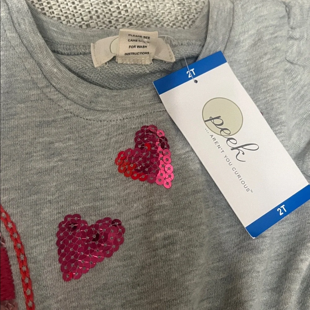 Peek Kids Girls 2T Gray Rainbow Sequin Sweatshirt Dress
